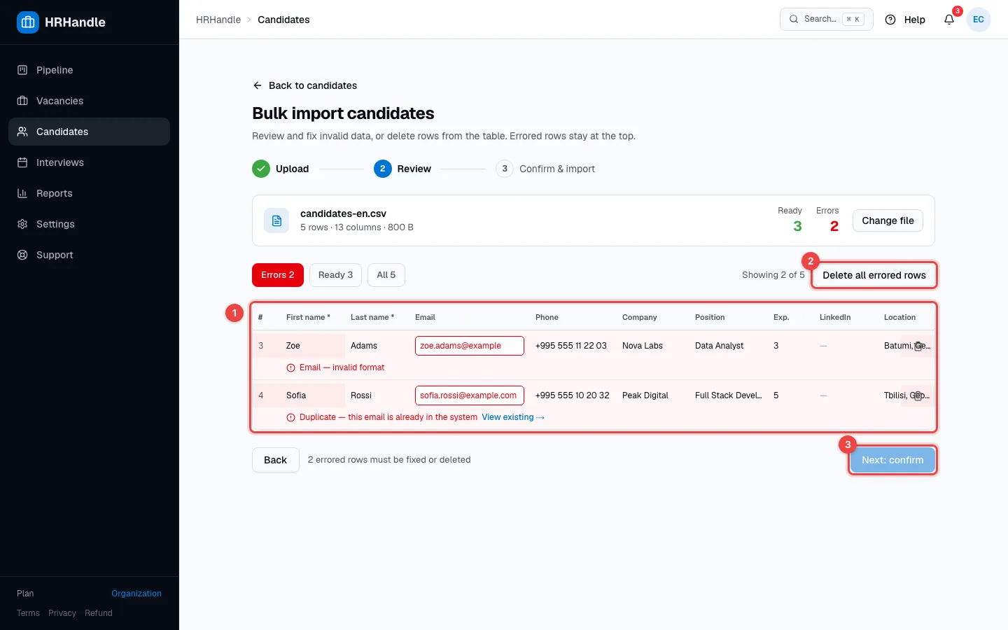 The review step with two rows marked as errors: an invalid email and a duplicate